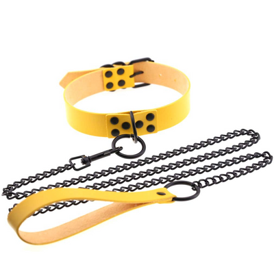 The Bumper Choker & Leash