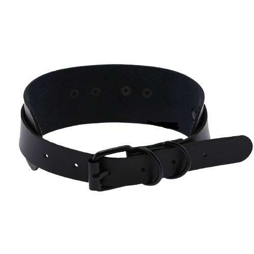 Black Heart Collar Choker